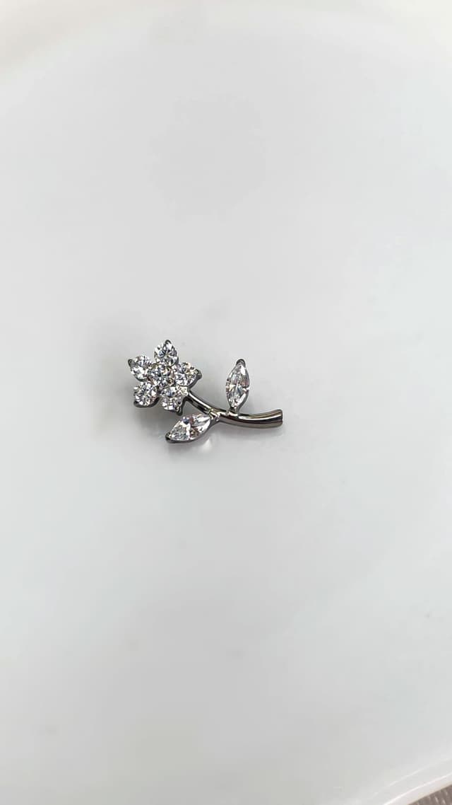 Imagem produto piercing 10